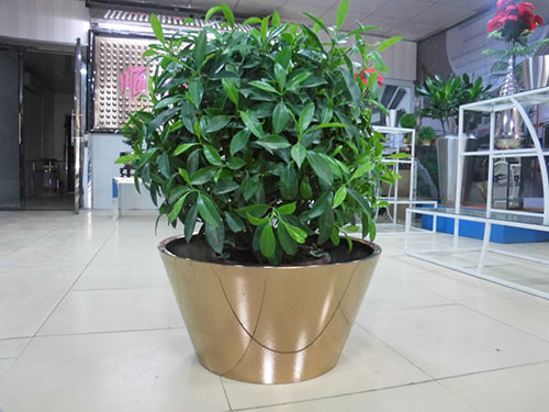 廣東汕頭不銹鋼花盆哪家做的好？